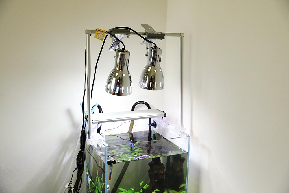 水槽をおしゃれに！ヤザワのクリップライトを自作で天吊DIY | 熱帯魚CLUB｜理想の水槽を作るアクアリウム入門手帳！